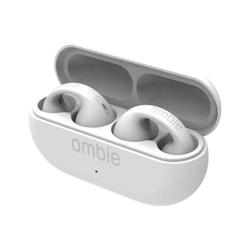 Noise-Cancelling Earbuds with Charging Case