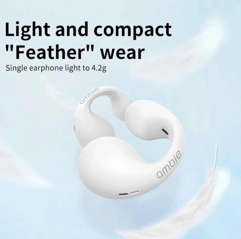 Noise-Cancelling Earbuds with Charging Case