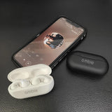 Noise-Cancelling Earbuds with Charging Case